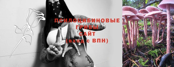 2c-b Абдулино