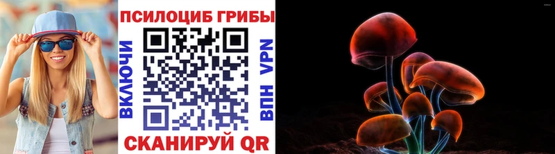 где найти наркотики  kraken как войти  Галлюциногенные грибы мухоморы  Красавино 